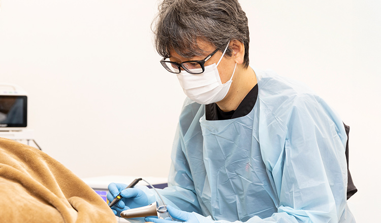 肛門科の検査・治療について