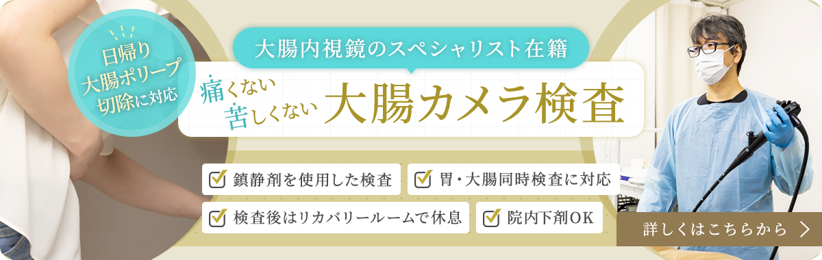 痛くない苦しくない 大腸カメラ検査